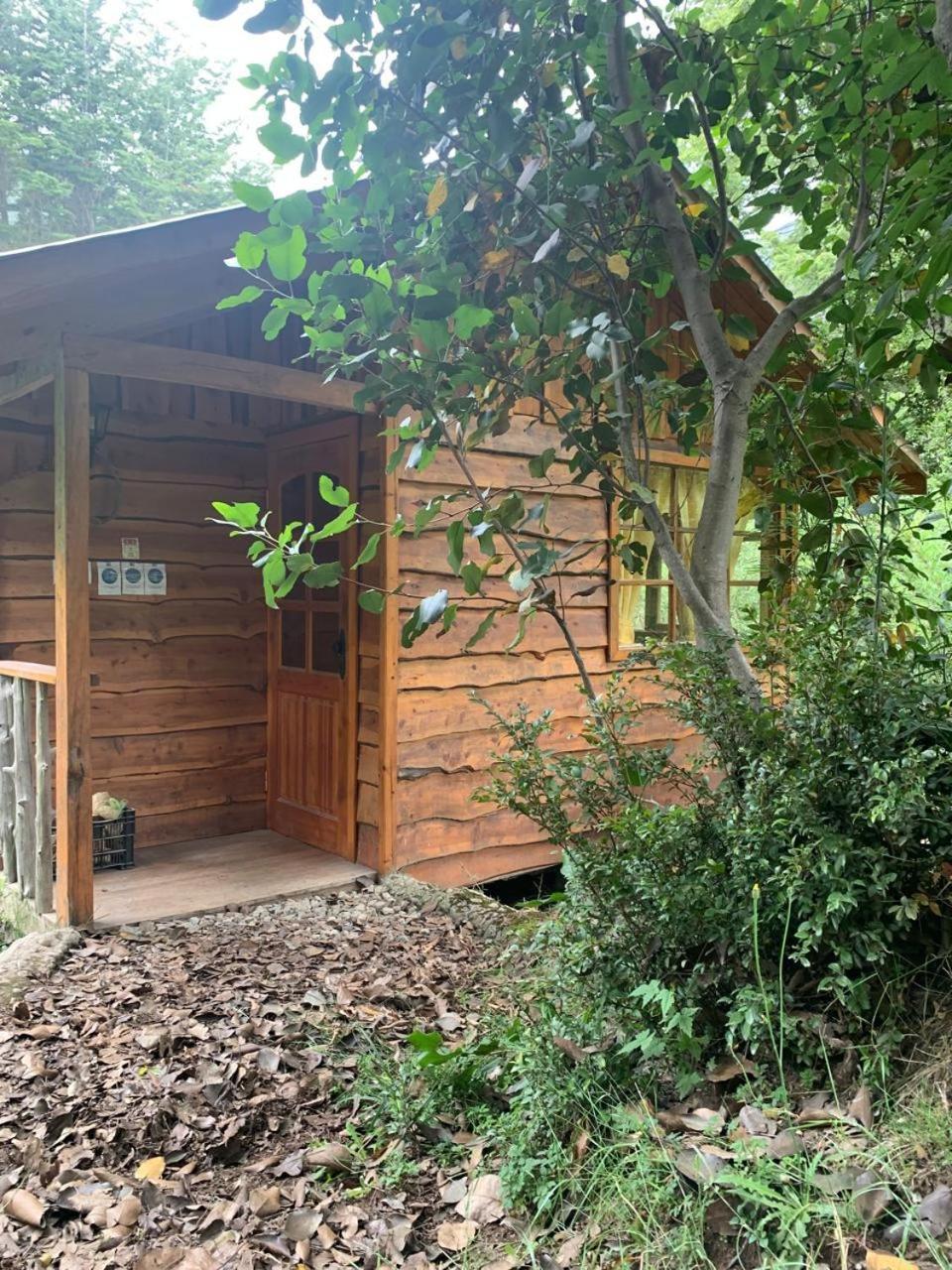 Sol De Montanas Holiday home Futaleufu